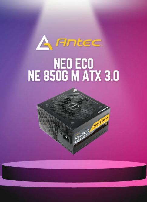 NE850G M ATX 3.0