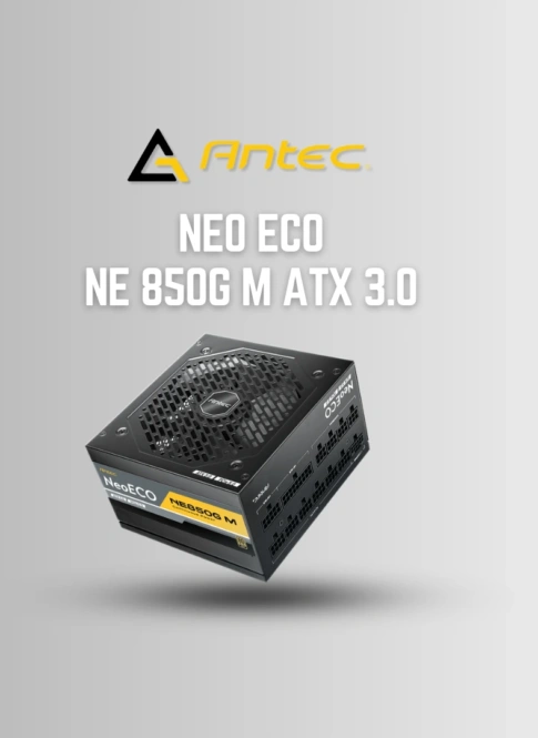 NE 850G M ATX 3.0