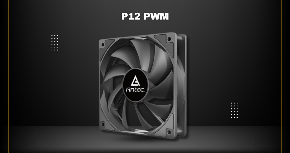 P12 PWM