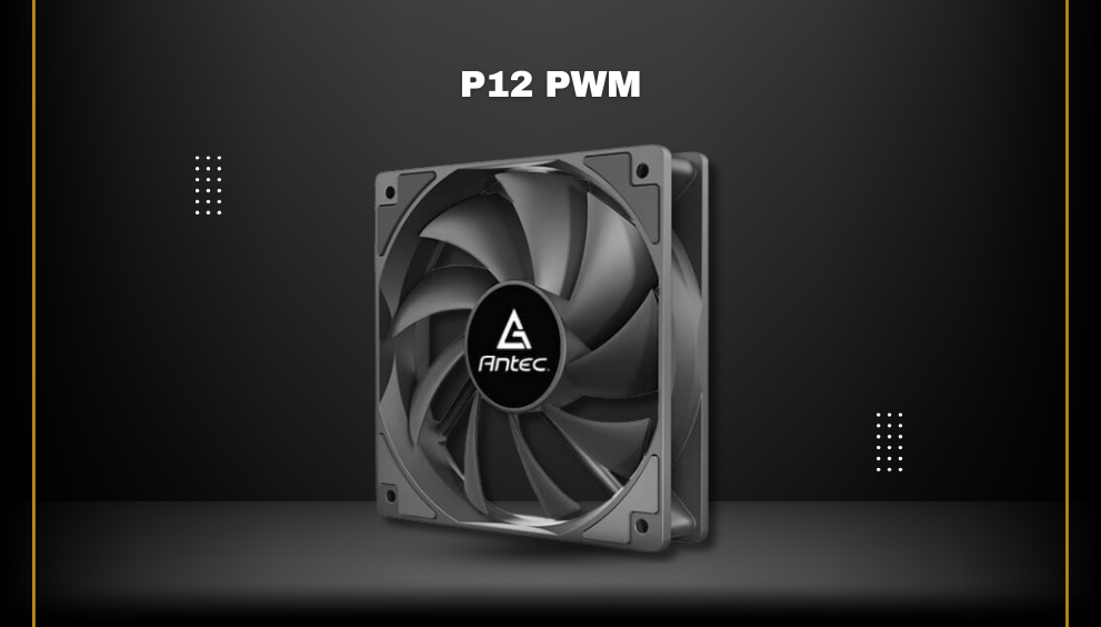 P12 PWM