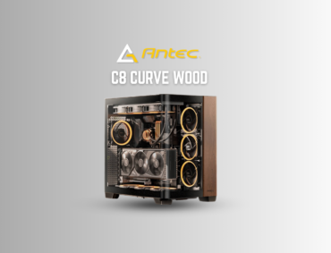 C8 CURVE WOOD